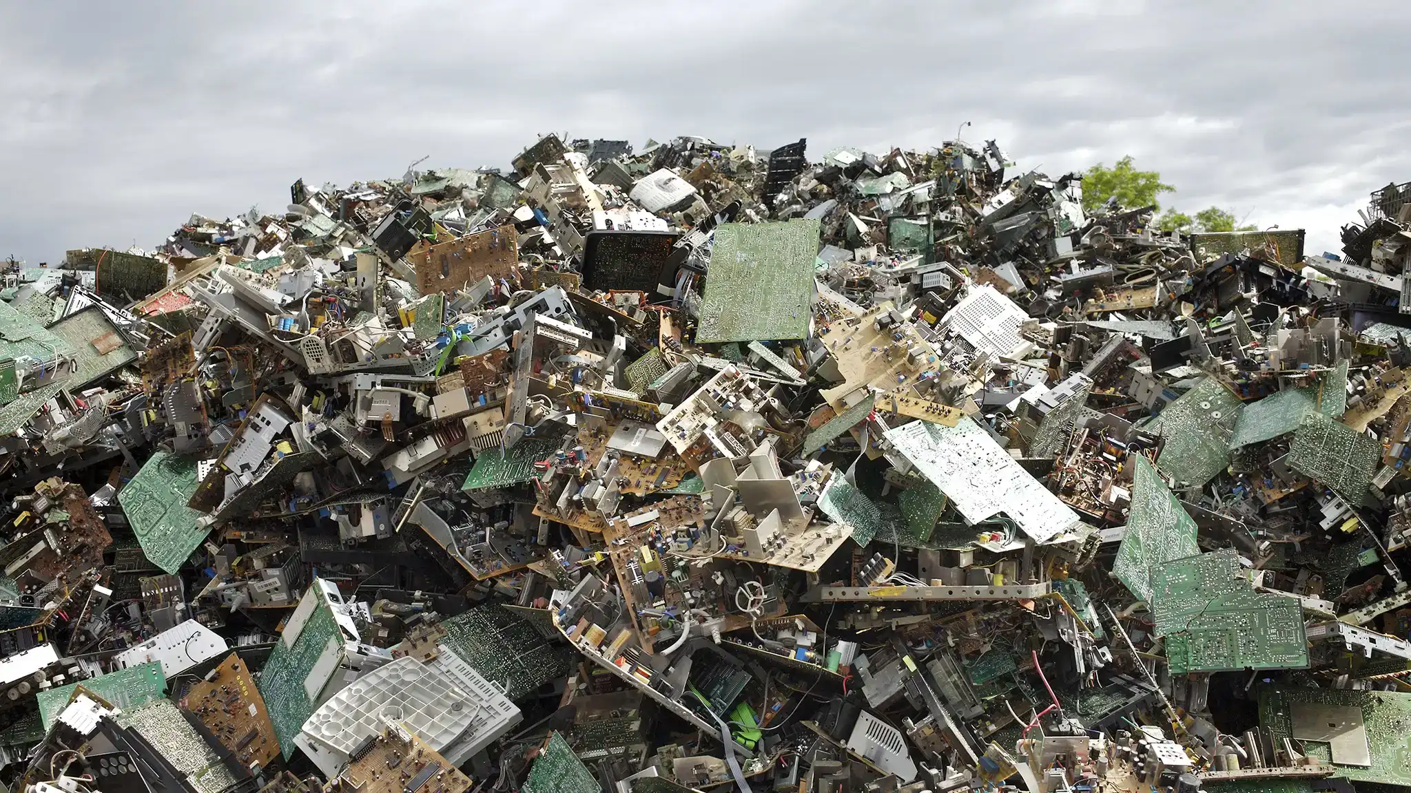 Network Devices Scrap